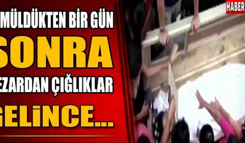 GÖMÜLDÜKTEN BİR GÜN SONRA MEZARDAN ÇIĞLIKLAR GELİNCE!

GALERİNİN DEVAMI İÇİN TIKLAYIN...