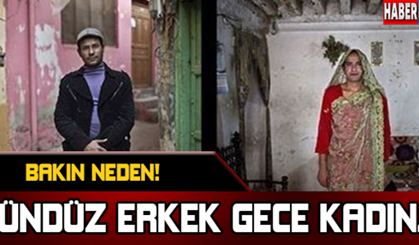 GÜNDÜZ ERKEK, GECE KADIN... BAKIN NEDEN!

GALERİNİN DEVAMI İÇİN TIKLAYIN...