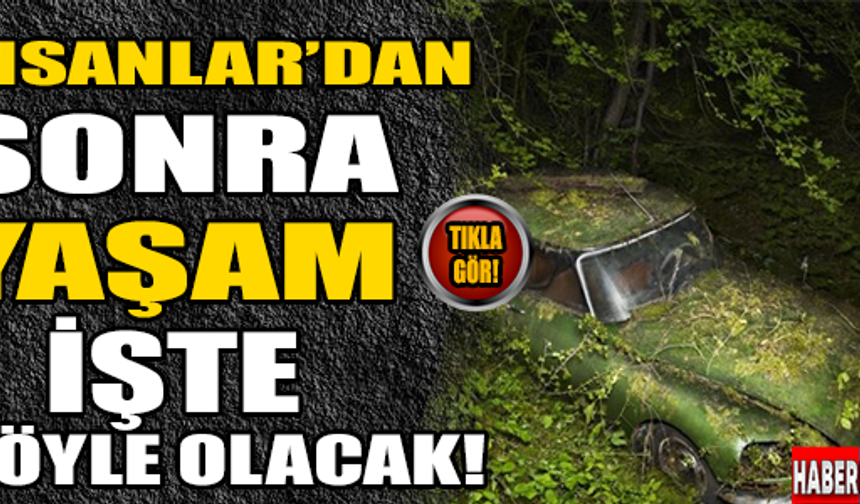 GALERİNİN DEVAMI İÇİN TIKLAYINIZ...