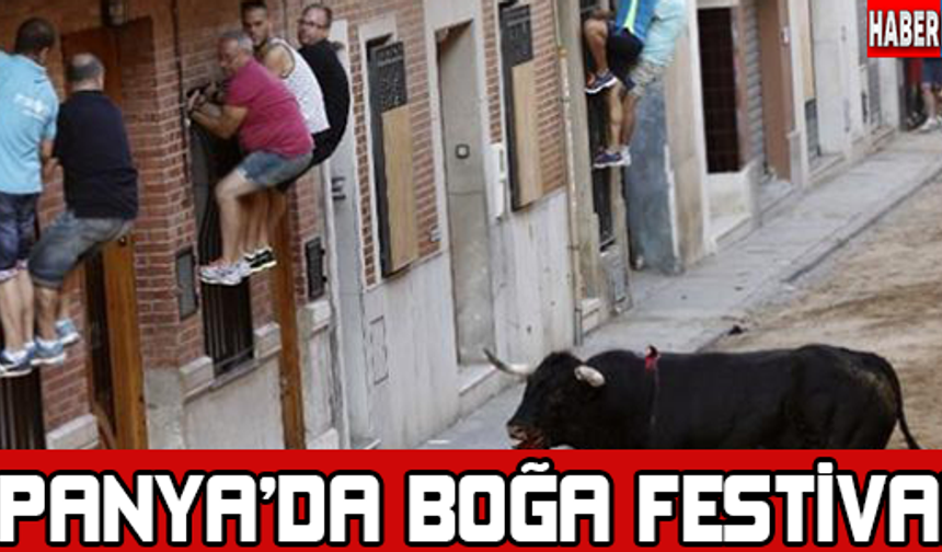 İspanyada boğa festivali

GALERİNİN DEVAMI İÇİN TIKLAYIN...