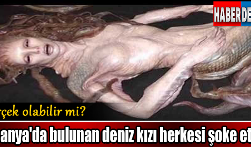 GALERİNİN DEVAMI İÇİN TIKLAYINIZ...