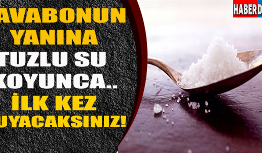 Galerinin Devamı İçin Tıklayınız..