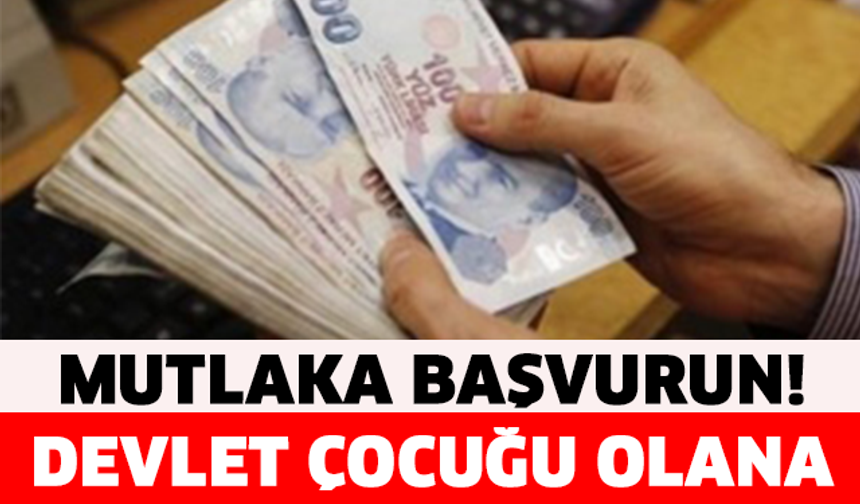 DEVLET İSTEYENE BU PARAYI VERECEK!!!

GALERİ&#039;NİN DEVAMI İÇİN TIKLAYIN..!