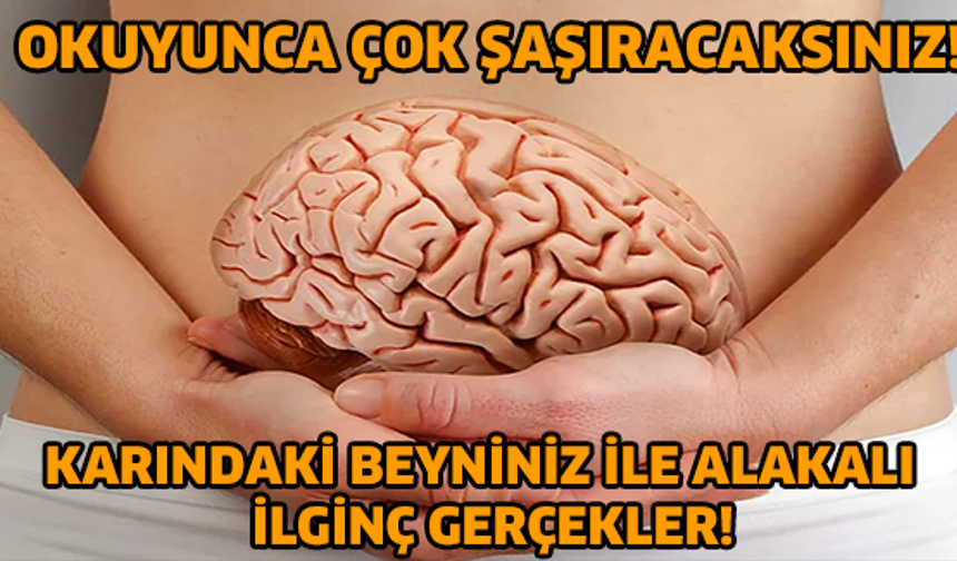 Okuyunca Çok Şaşıracaksınız! Karındaki Beyniniz ile Alakalı  İlginç Gerçekler!