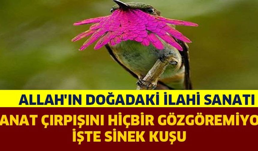 Devamı İçin Resime Tıkla ==&gt;