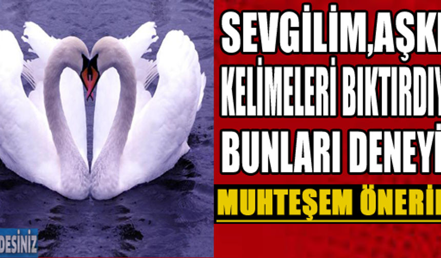 Galerinin devamı için tıklayınız...