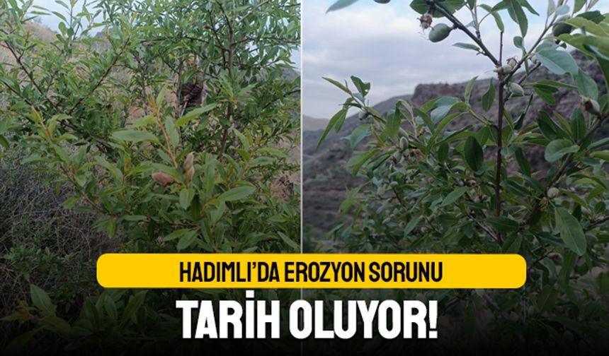 Hadımlı’da erozyon sorunu tarih oluyor