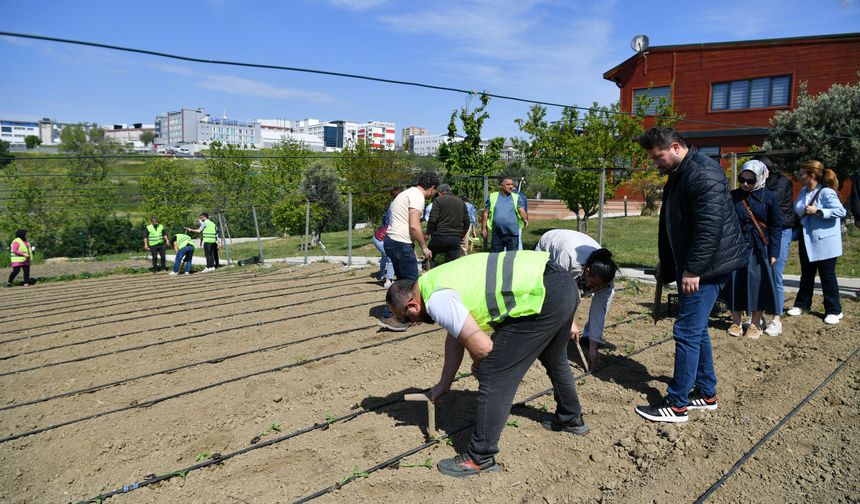 Beylikdüzü Belediyesi tarıma katkısını sürdürüyor