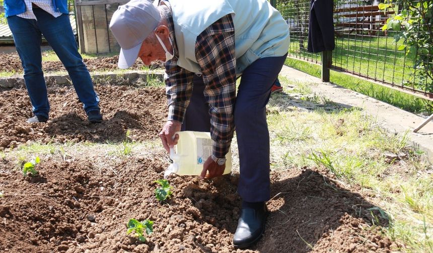 İstanbullular Kendi Sebzesini Yetiştiriyor