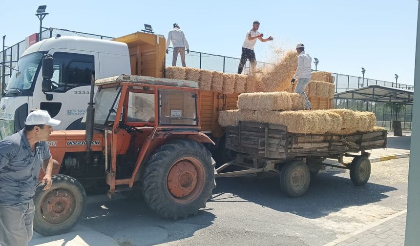 Silivri Belediyesi’nden Çiftçilere Saman Desteği: 250 Üreticiye Balyalar Teslim Edildi