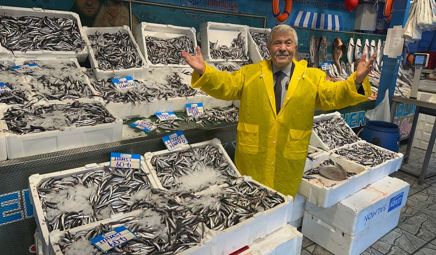 Hamsi Fiyatları Dibe İndi! 4 Kilosu 200 Lira — Balıkçılardan “Dolapları Doldurun” Çağrısı