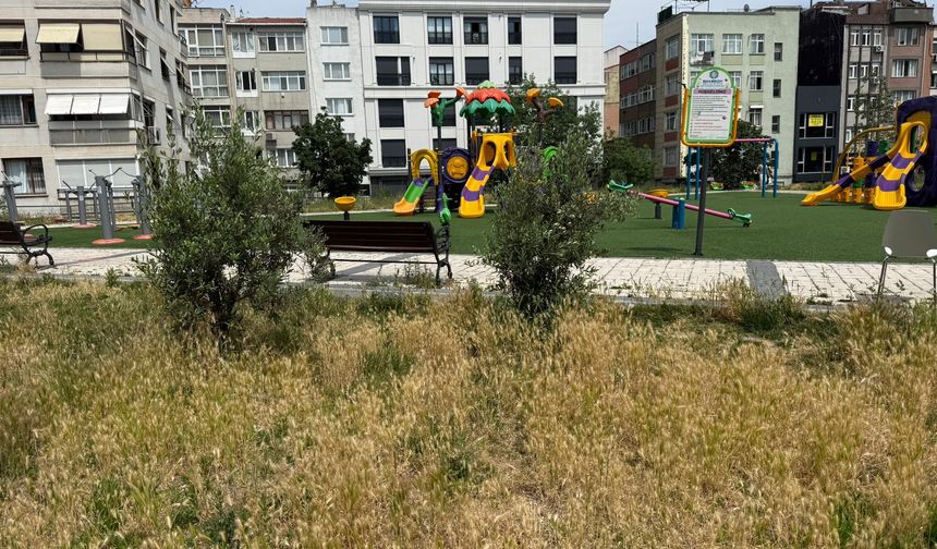 Dadyan Parkı'nda Belirsizlik Sürüyor: Karar Var, Çalışma Yok