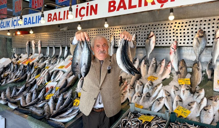 Palamutta 25 yıl sonra bolluk: Fiyatlar 80 liraya kadar geriledi