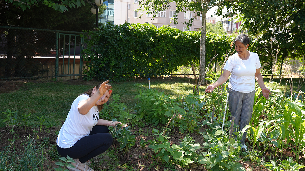 Altın Yıllarda Yaşam1