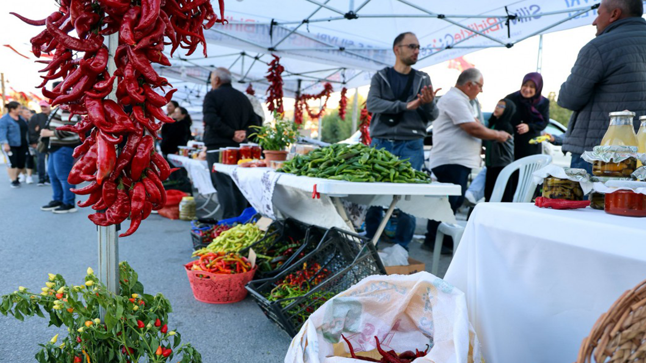 Kırmızı Biber Şenliği3